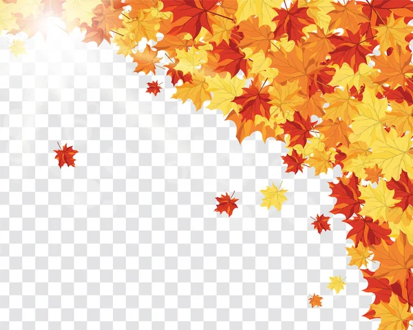 秋天框架与下落的枫叶在透明度 Alpha 网格背景 矢量插图 — 图库矢量图片