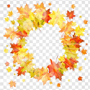 Saydamlık Izgarası üzerinde akçaağaç yaprakları