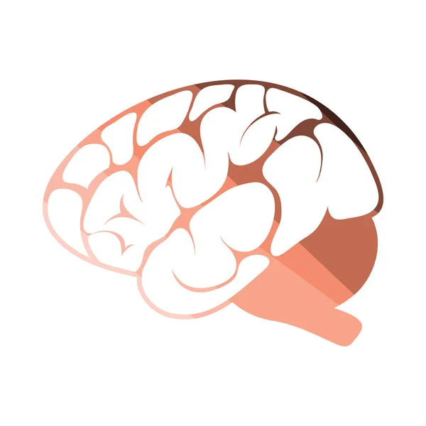 脳アイコン — ストックベクタ