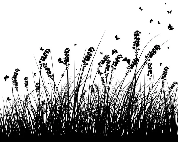 Lato łąka tło — Wektor stockowy