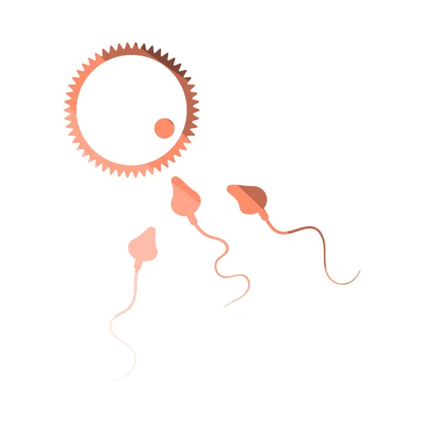 Ikona spermie a vajíčka — Stockový vektor