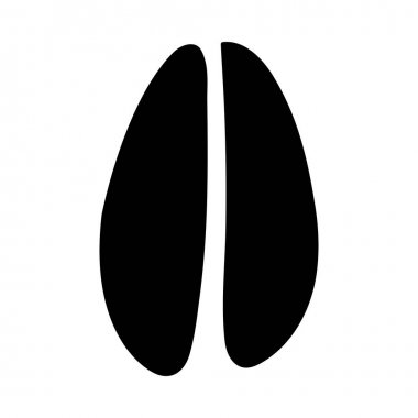 Mançurya Geyiği Ayak İzi