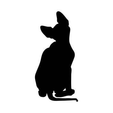 Kedi Silueti