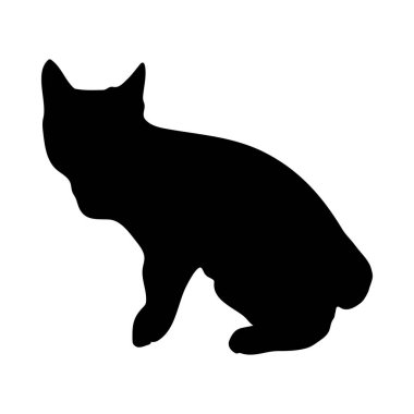 Kedi Silueti