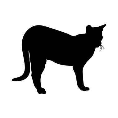 Kedi Silueti