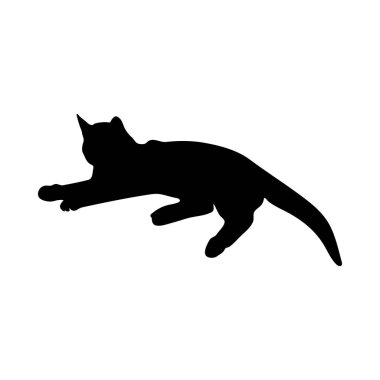 Kedi Silueti