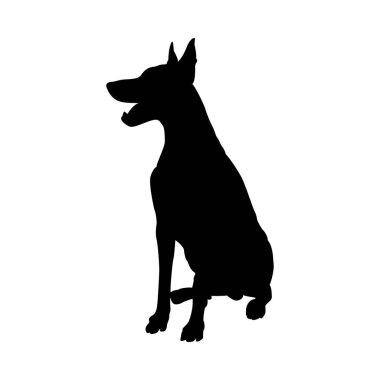 Doberman Pinscher Köpek Silueti