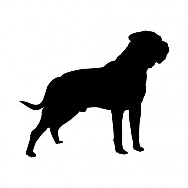 Bullmastiff Köpek Silueti