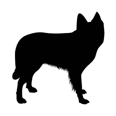 Hollanda Koyunu Köpek Silueti