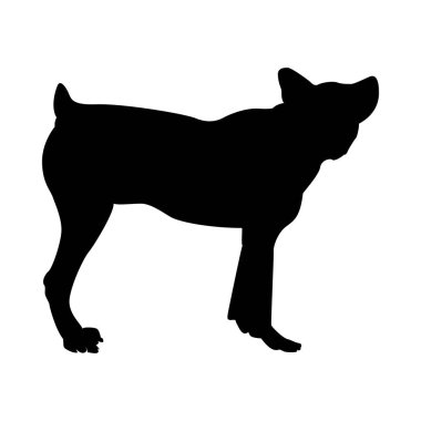 Koyun Köpek Silueti
