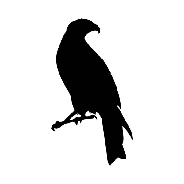 Fågelsilhuett — Stock vektor