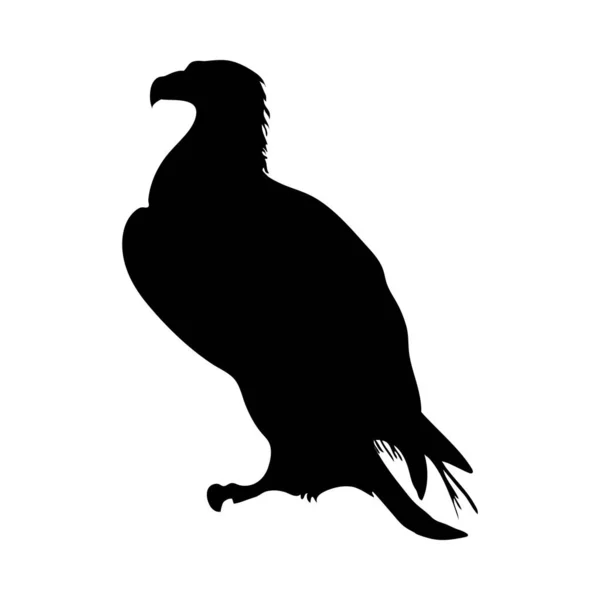 Silhueta de pássaro —  Vetores de Stock