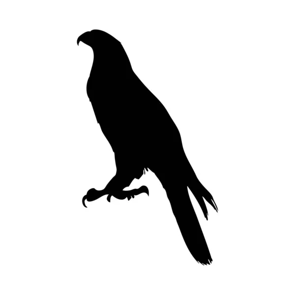 Kuş silueti — Stok Vektör
