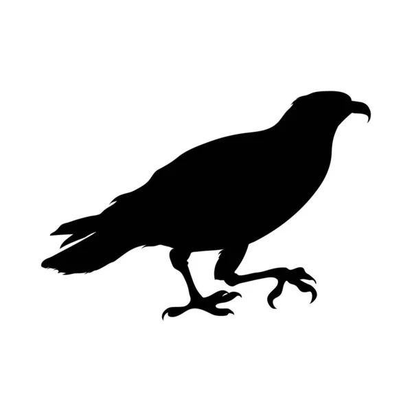 Silhouette uccello — Vettoriale Stock