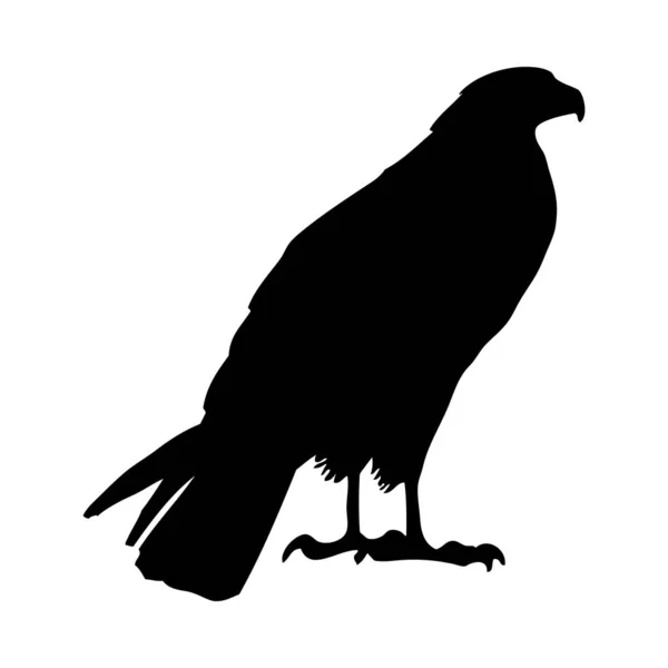 Ptačí silueta — Stockový vektor
