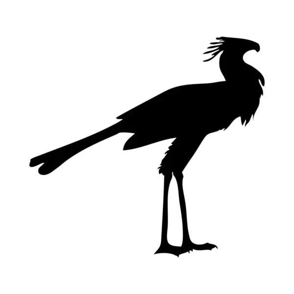 鸟的轮廓 — 图库矢量图片