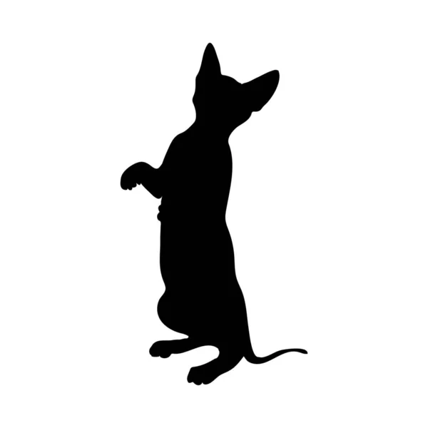 Silhouette de chat — Image vectorielle