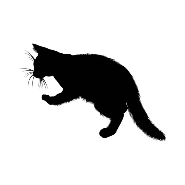 Kattensilhouet — Stockvector