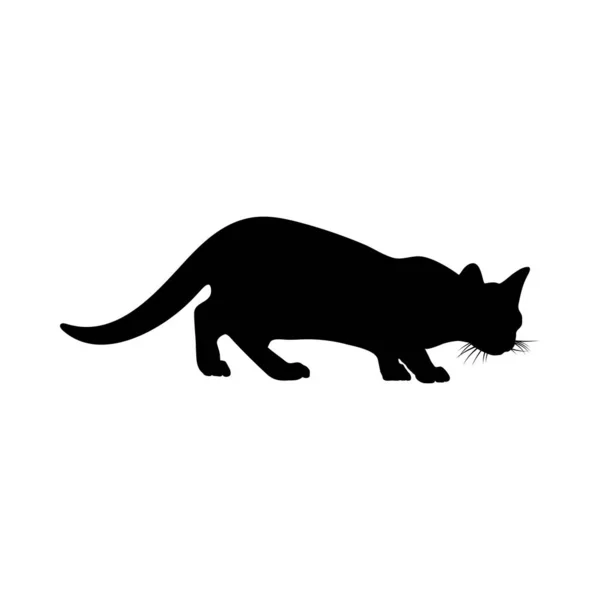 Silhouette de chat — Image vectorielle