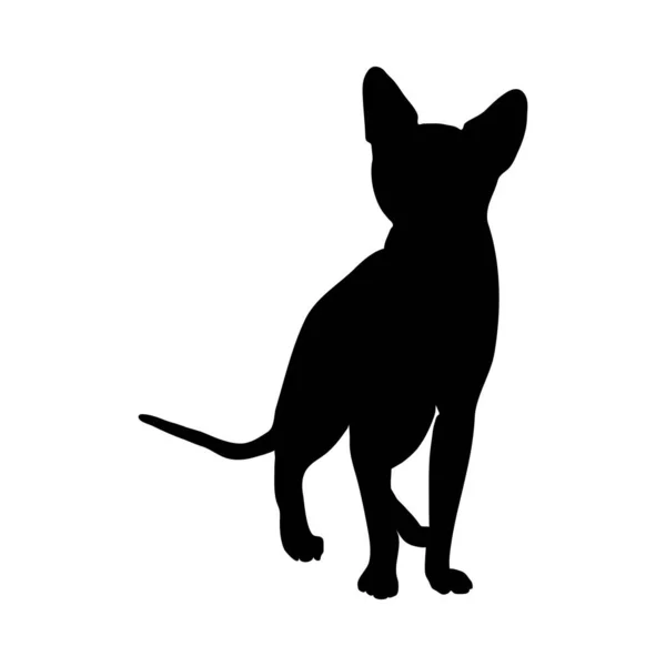 Silueta de gato — Vector de stock