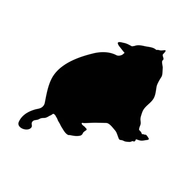 Silhouette de chat — Image vectorielle