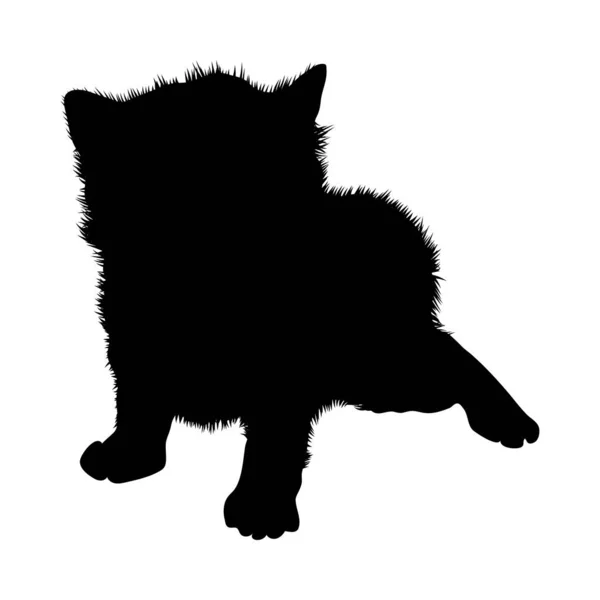 Katzensilhouette — Stockvektor
