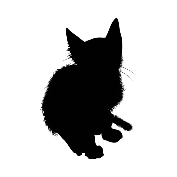 Silueta de gato — Vector de stock