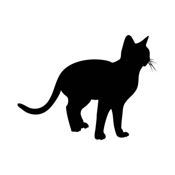 Silueta de gato — Vector de stock