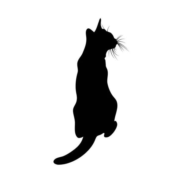 Silhouette de chat — Image vectorielle