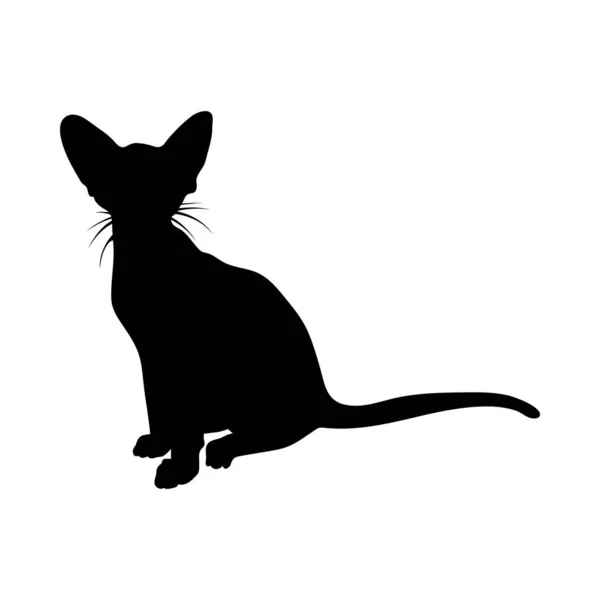 Silhueta de gato — Vetor de Stock