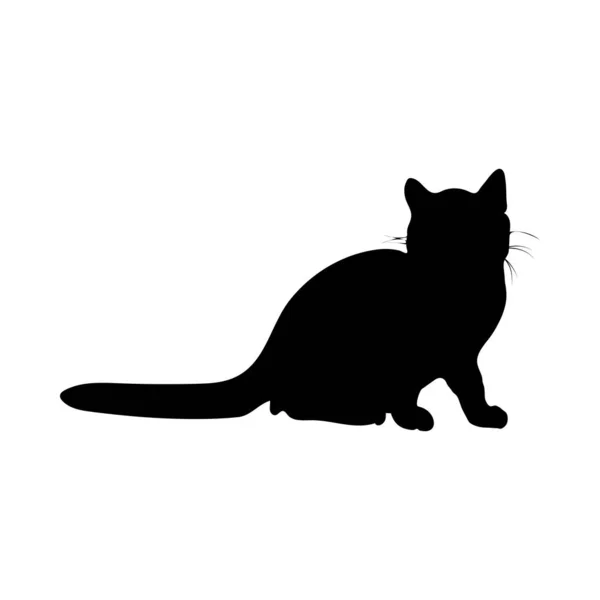 Kattensilhouet — Stockvector