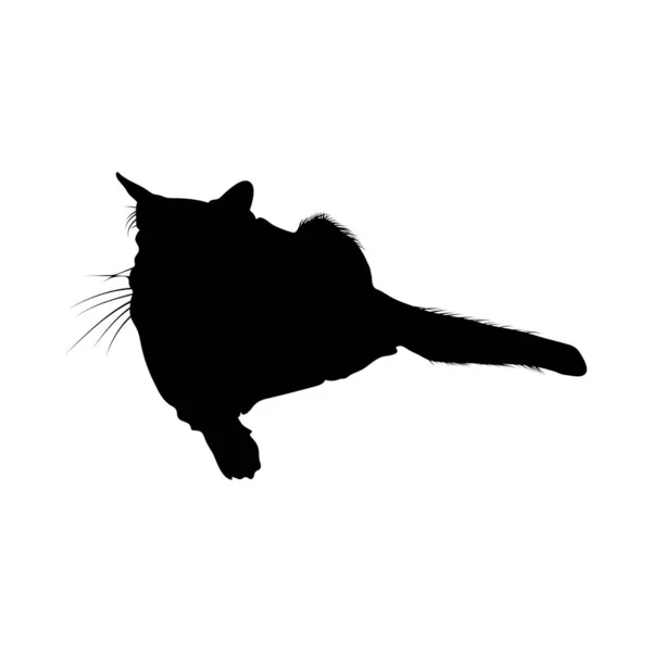 Silueta de gato — Vector de stock