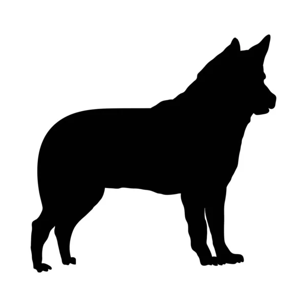 Silhouette pour chien Israel Canaan — Image vectorielle