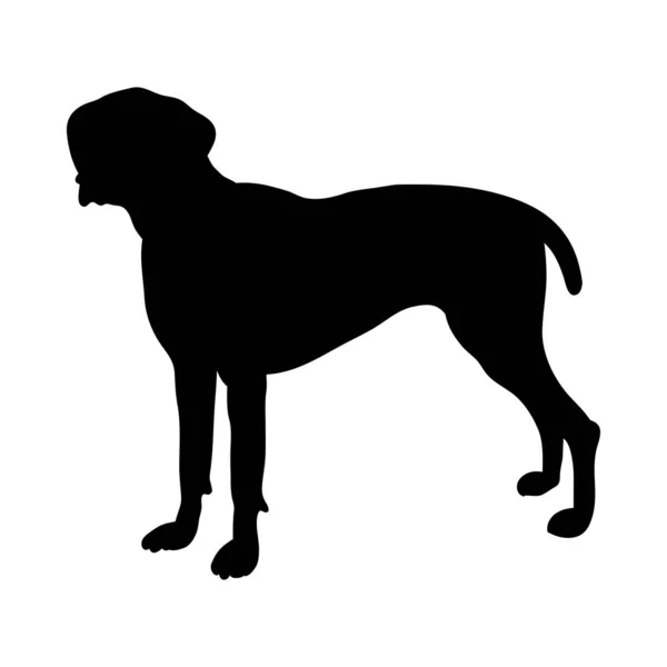 Silueta de perro puntero alemán — Vector de stock