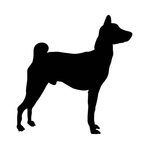 Silueta de perro Basenji — Vector de stock