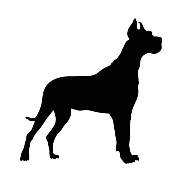 Duitse Great Dane hond silhouet — Stockvector