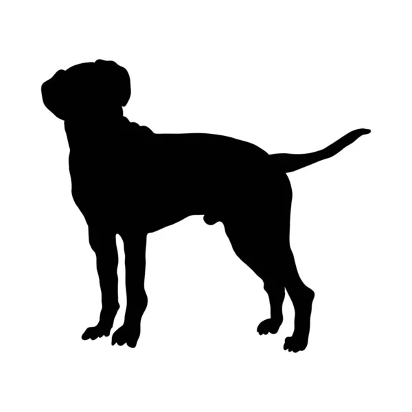 Silhouette de chien dalmate — Image vectorielle