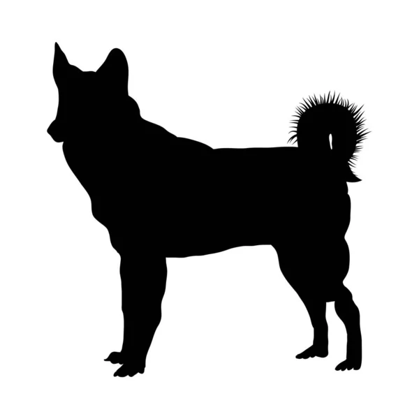 Silhouette de chien Husky — Image vectorielle