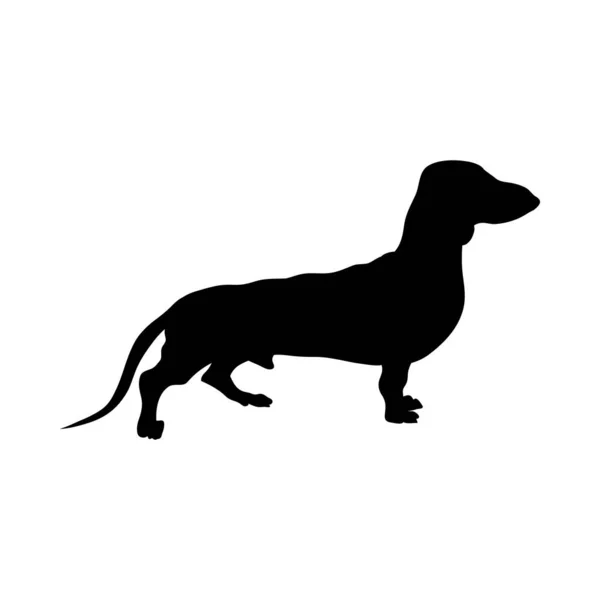 Sílhueta de cão Dachshund — Vetor de Stock