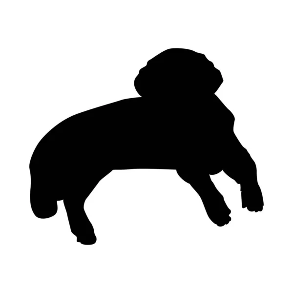 Retriever hond silhouet — Stockvector