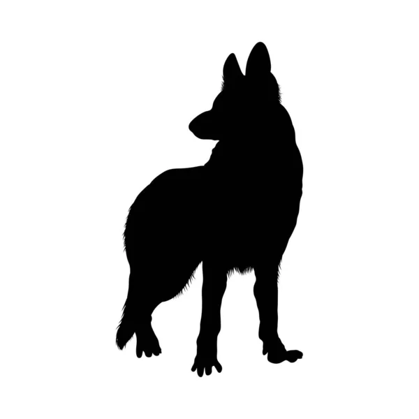 Duitse Herder Honden silhouet — Stockvector
