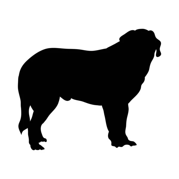 St. Bernard hund silhuett — Stock vektor