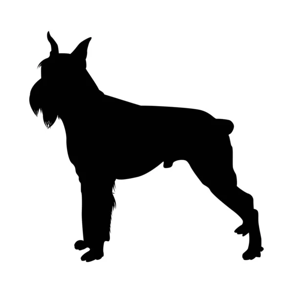 Shnauzer hond silhouet — Stockvector