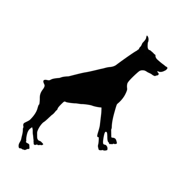 Sylwetka dobermana psa — Wektor stockowy