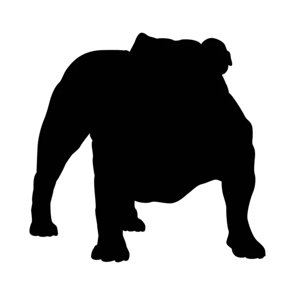 Bulldog hond silhouet — Stockvector