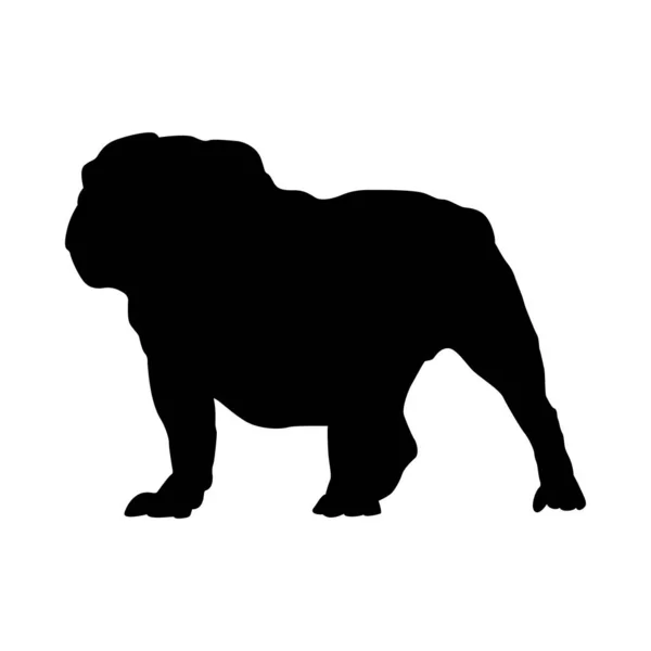 Engels Bulldog hond silhouet — Stockvector