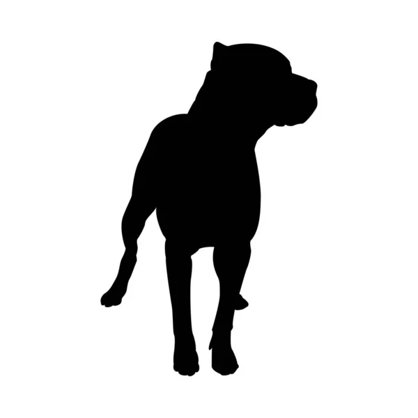 Poço Bull Terrier Dog Silhouette — Vetor de Stock