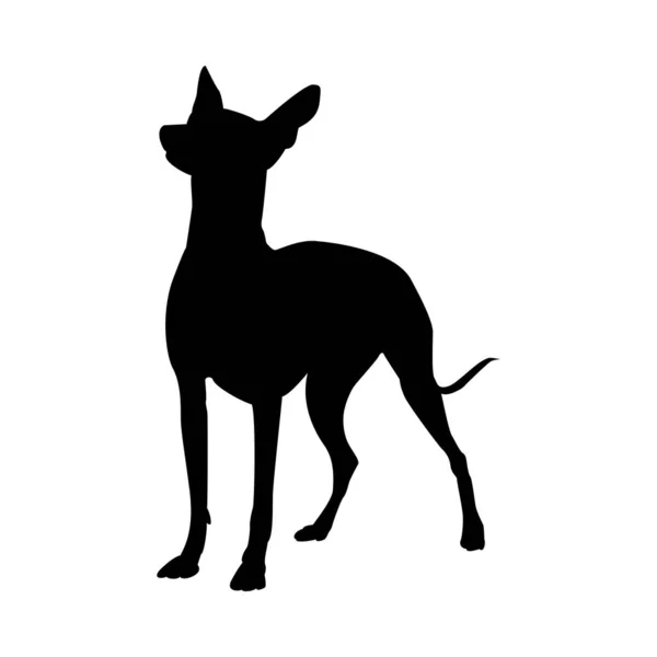 Mexican Naked Dog Silhouette — Stock Vector