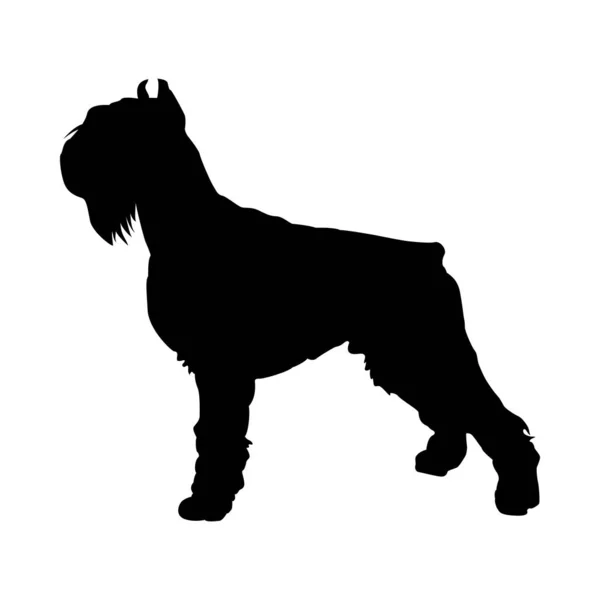 Shnauzer hund silhuett — Stock vektor