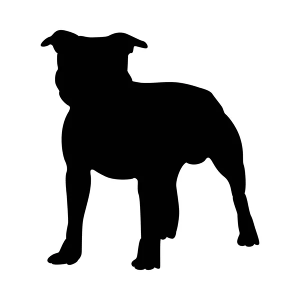 Silueta de perro staffordshire terrier — Vector de stock